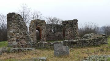 Árpád-kori templomrom, Mezőnyárád